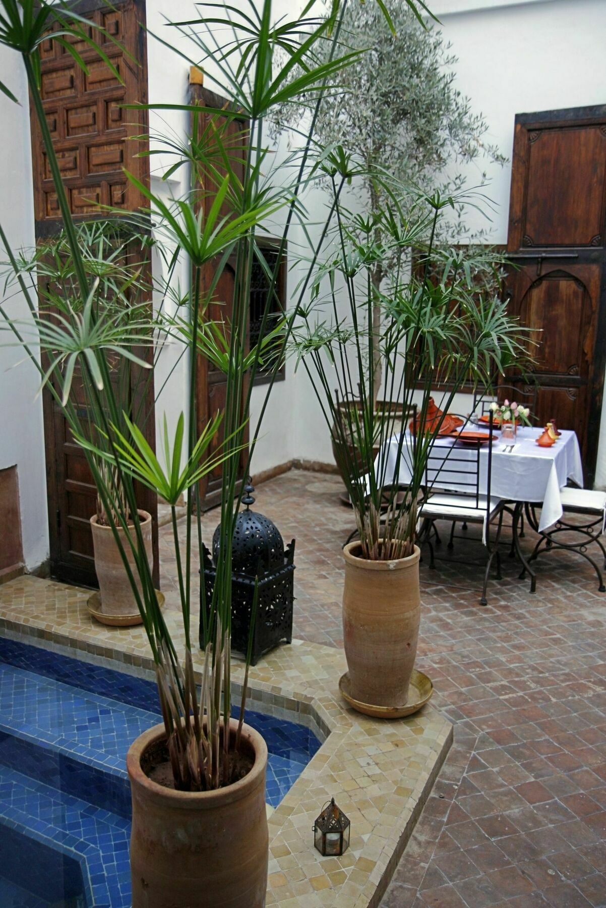 Riad Elixir Marrakesh Buitenkant foto